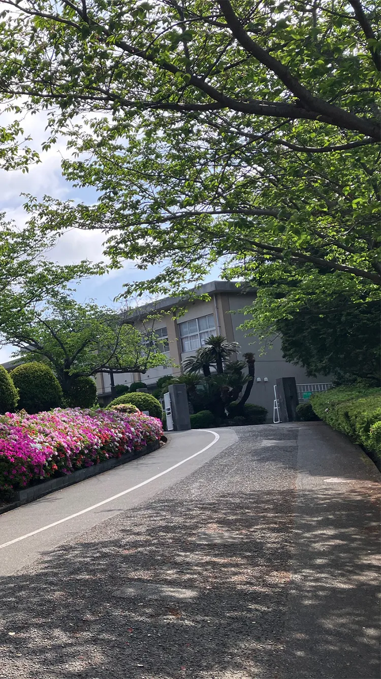 山口県立下関南高校 校門前(つつじ)