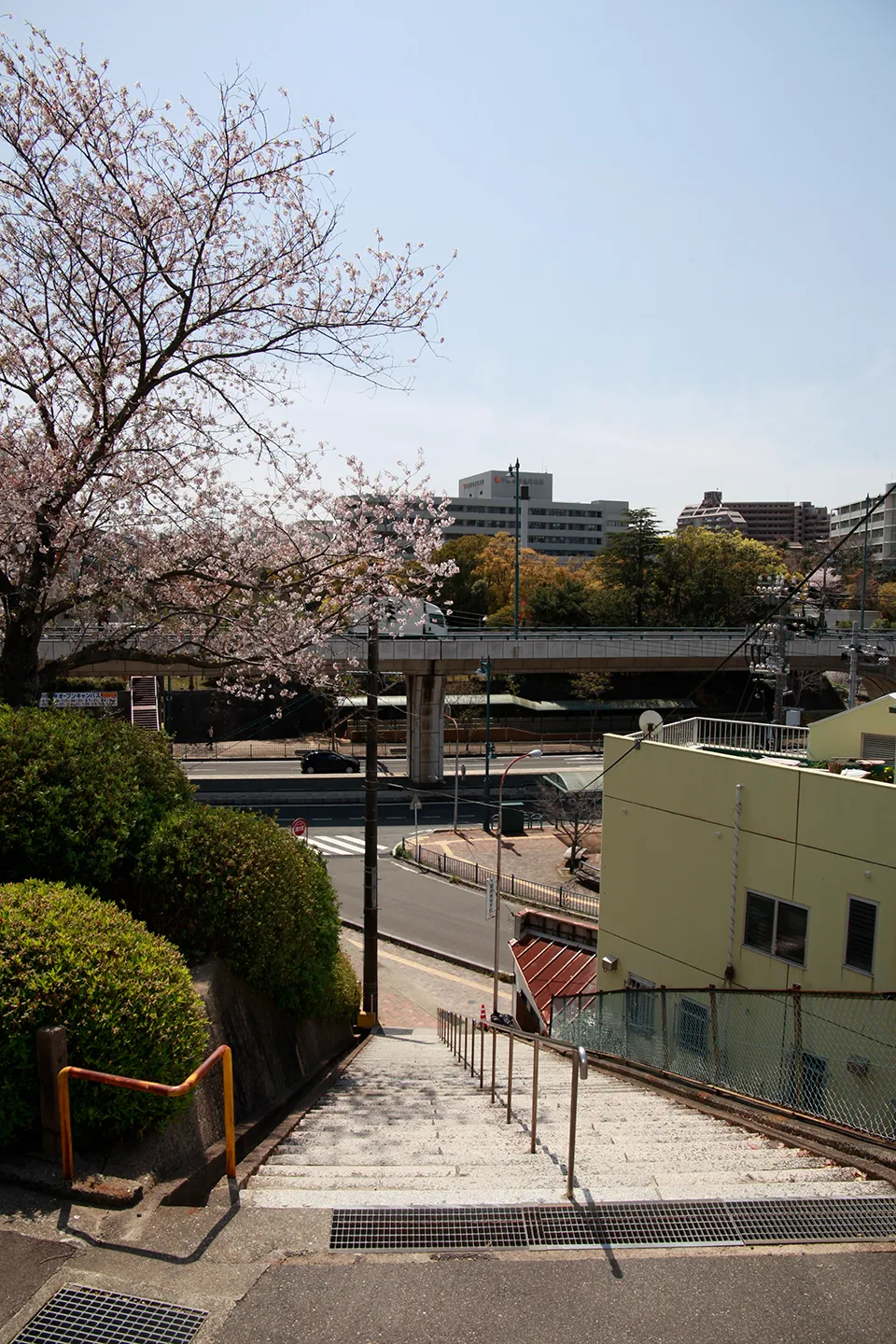 山口県立下関南高校（正門前の階段）
